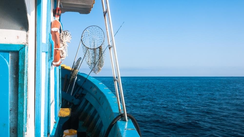 Derecho Marítimo-Pesquero: aspectos legales clave para la industria