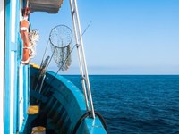 Derecho Marítimo-Pesquero: aspectos legales clave para la industria